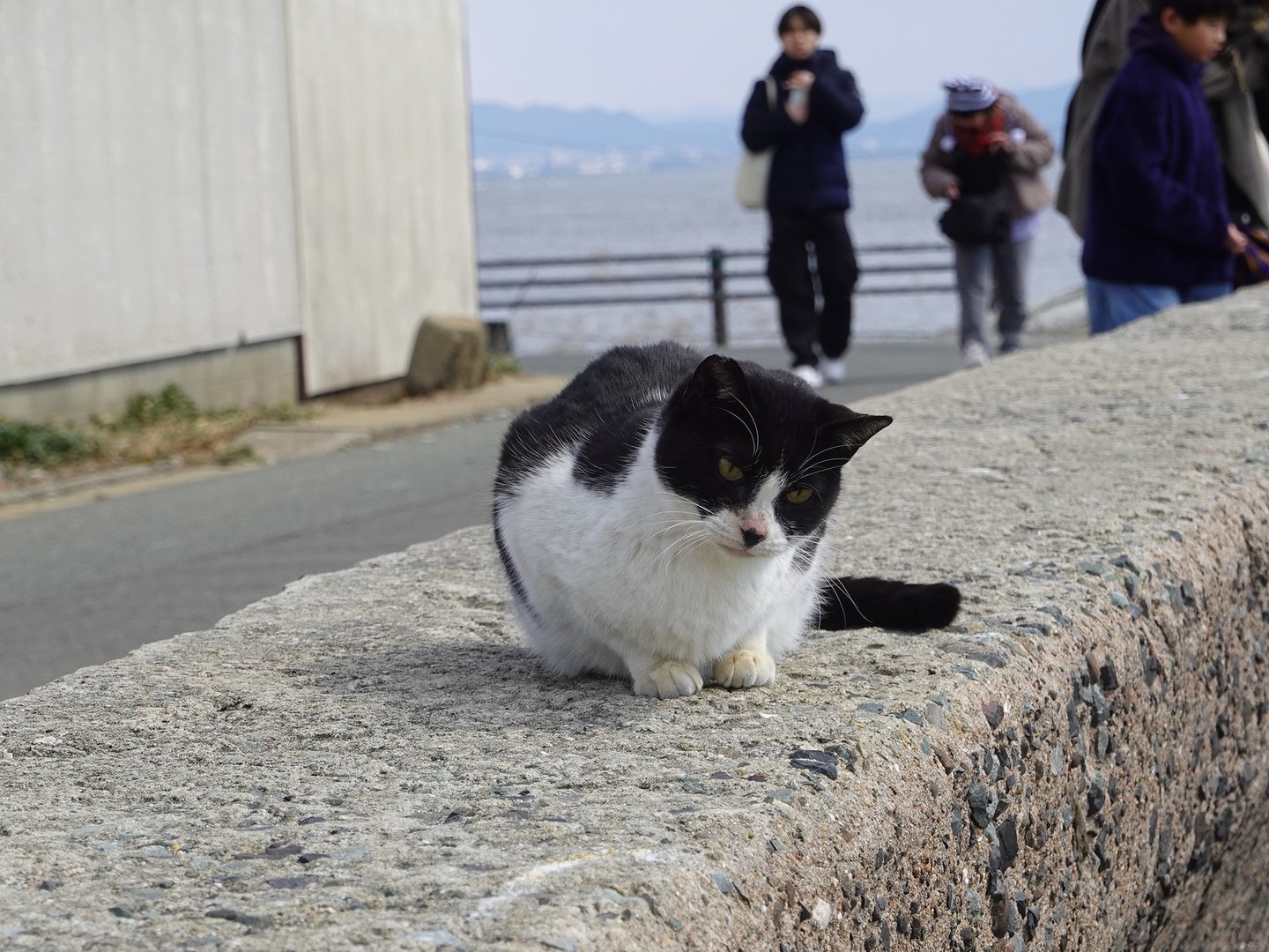 DSC01837.JPG_compressed