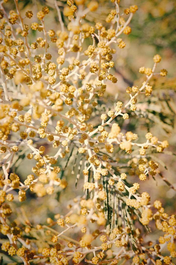RNI-Films-IMG-65476B60-94FB-47E9-A43D-978BCF40A01C.JPG_compressed