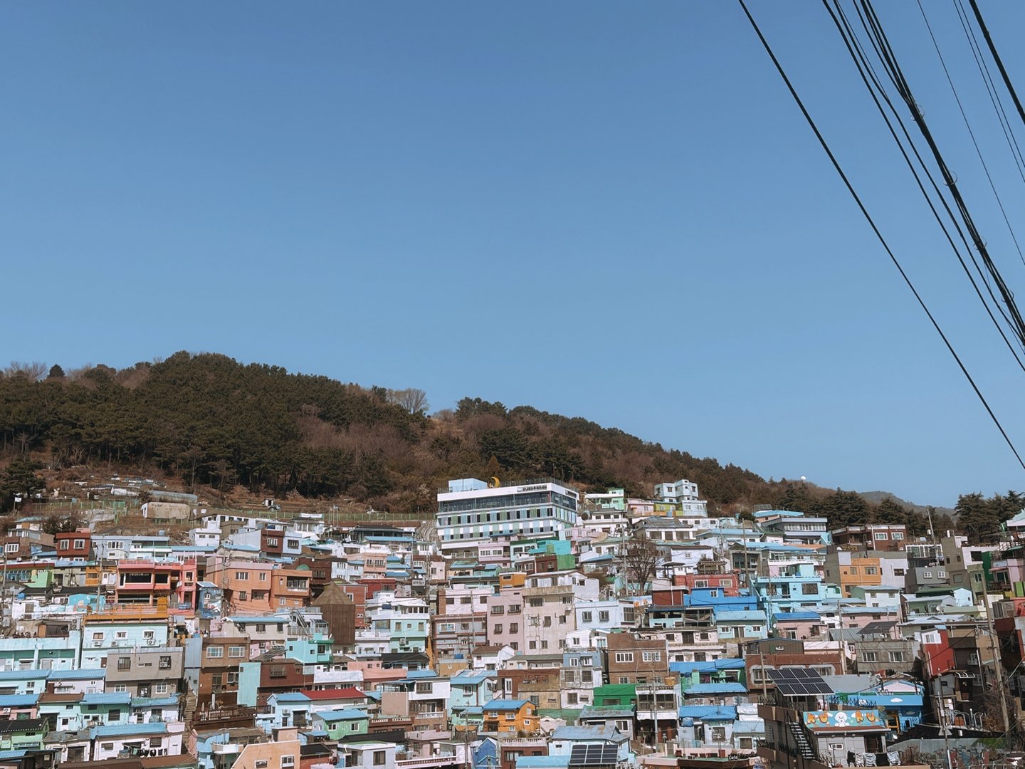 Caches764386354.778953.jpg_compressed