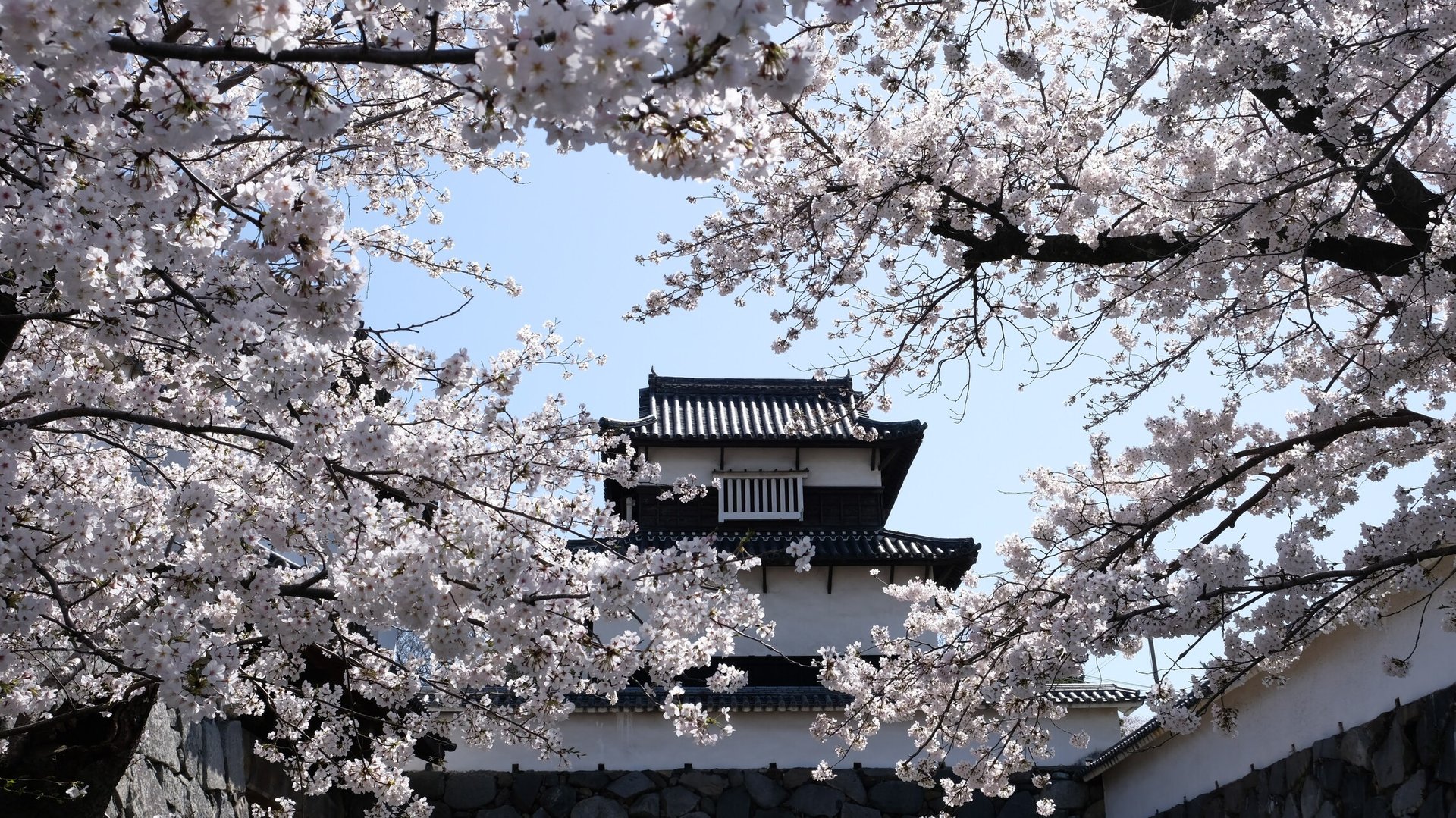 DSCF0183.JPG_compressed