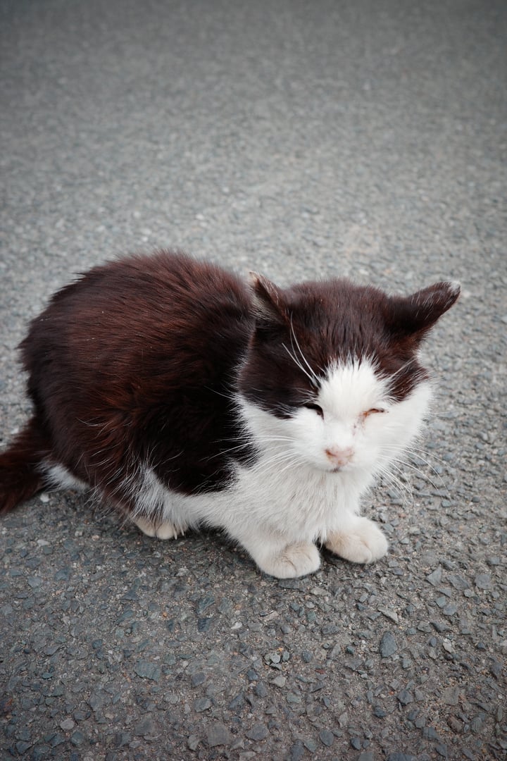 R0001016.JPG_compressed