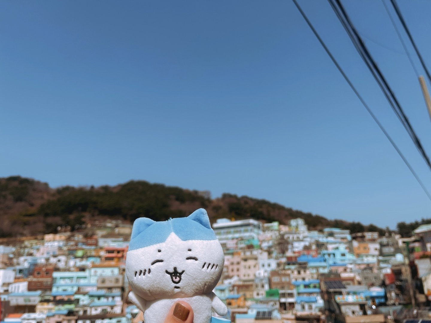 Caches764386601.243994.jpg_compressed